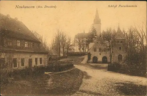 Ansichtskarte Neuhausen (Erzgebirge) Schloss Purschenstein - Straße 1913