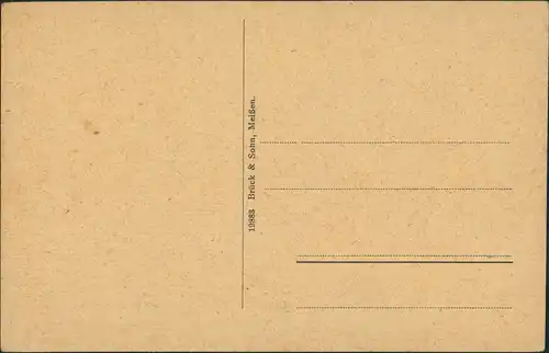 Ansichtskarte Neuhausen (Erzgebirge) Schloss Purschenstein - Straße 1913