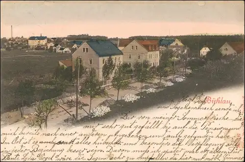 Ansichtskarte Bühlau-Dresden Straßenpartie 1907