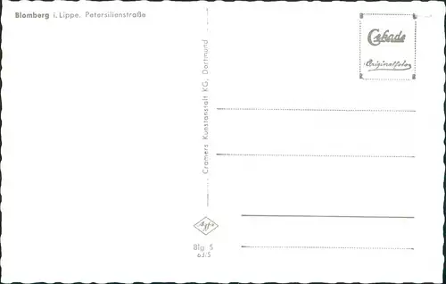 Ansichtskarte Blomberg Petersilienstraße Wohnhäuser Fachwerkbauten 1963