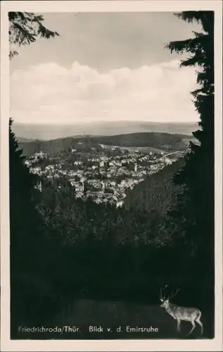 Ansichtskarte Friedrichroda DDR Gesamt-Ansicht Blick v.d. Emirsruhe 1956