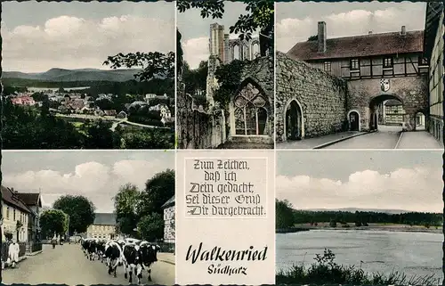 Ansichtskarte Walkenried (Harz) Stadt, Kloster, See 1950