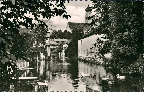 Ansichtskarte Bad Aibling An der Glonn, Schwäne, Fernblick Kirche 1963