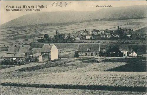 Ansichtskarte Warzen-Alfeld (Leine) Gastwirtschaft Grüner Wald - Totale 1916