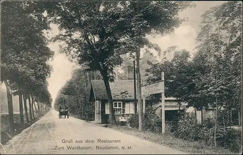 Postcard Neudamm (Neumark) Dębno Restaurant Waldkater - Straße 1910