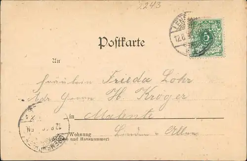 Ansichtskarte Albersdorf (Holstein) Bahnhofstraße 1899