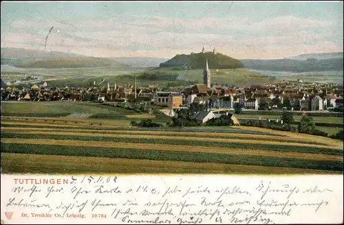 Ansichtskarte Tuttlingen Stadtpartie 1902
