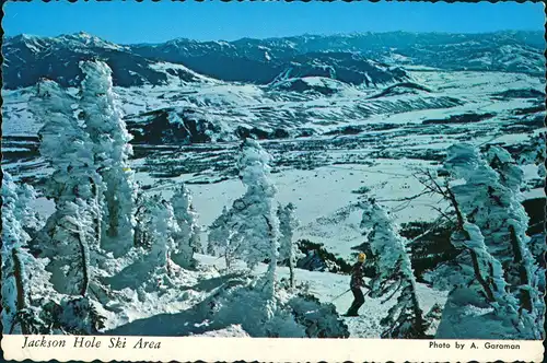 Jackson Hole Ski Area Panoramic Valley View/Wintersport Motivkarte 1974