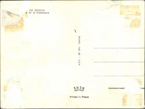 Postcard Dakar Casamance Native People Natives Krieger Senegal 1970