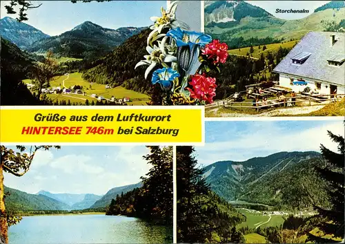 Ansichtskarte Salzburg Umland-Ansichten Hintersee 4 Echtfoto-Ansichten 1981