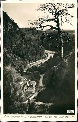 Polenz-Neustadt (Sachsen) Waltersdorfer Mühle Blick auf 1940 Walter Hahn:2607