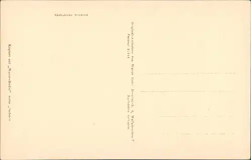 Ansichtskarte Rathen Brosinnadel Hohe Liebe 1931 Walter Hahn:148