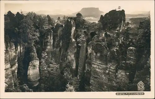 Rathen Basteifelsen (Sächsische Schweiz) Lilienstein 1931 Walter Hahn:2290