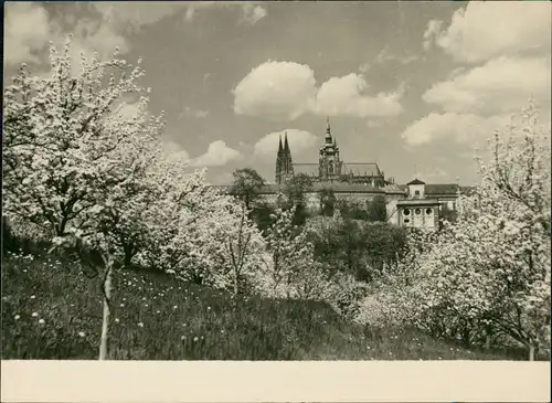 Burgstadt-Prag Hradschin/Hradčany Praha Hradschin Hradčany Burg 1960
