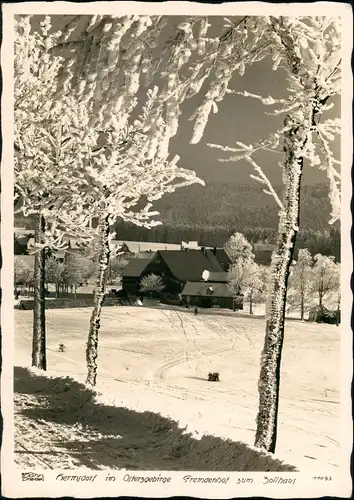Hermsdorf (Ost-Erzgebirge) Fremdenhof zum Zollhaus Winter 1940 Walter Hahn:11093