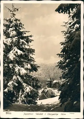 Rehefeld-Altenberg (Erzgebirge) Jagdschloss Winter 1941 Walter Hahn:11057