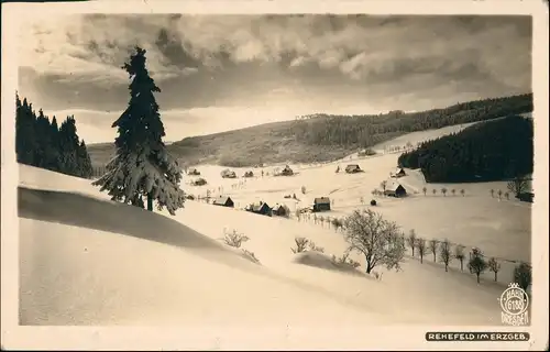 Rehefeld-Altenberg (Erzgebirge) Stadt im Winter Erzgebirge 1925 Walter Hahn:6188