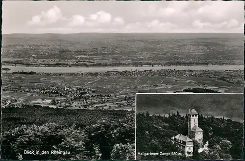 Oestrich-Winkel  1954   mit guter und nicht Frankatur DBP 10 Pfennig Post-Taube