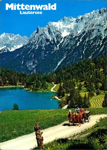 Ansichtskarte Mittenwald Lautersee Pferde-Kutsche Alpen Panorama 1981