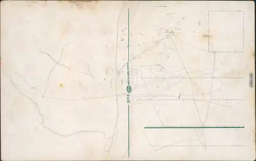 Ansichtskarte Thale (Harz) Roßtrappe (Felsen) 1915