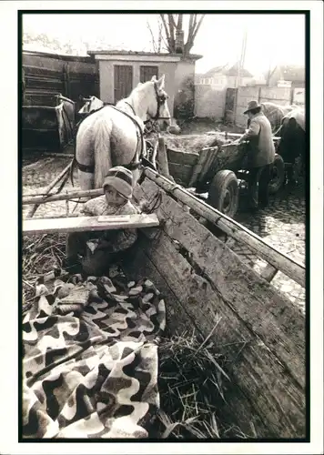 Rumänien România Radu Darvas, Bauern-Familie, Pferde, Foto mit Kind 1996