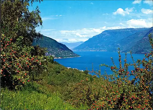 Postcard Hardanger Norge Norway Nå Hardanger Panoramic View 1975