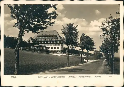Altenberg (Erzgebirge) Sanatorium "Raupennest" Straße 1940 Walter Hahn:11337