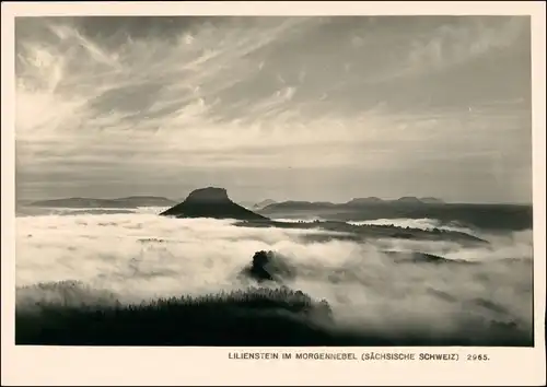 Porschdorf-Bad Schandau Stimmungsbild Lilienstein Morgennebel Hering 1964
