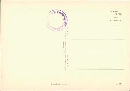 Königstein (Sächsische Schweiz) Festung Königstein vom Pfaffenstein 1954