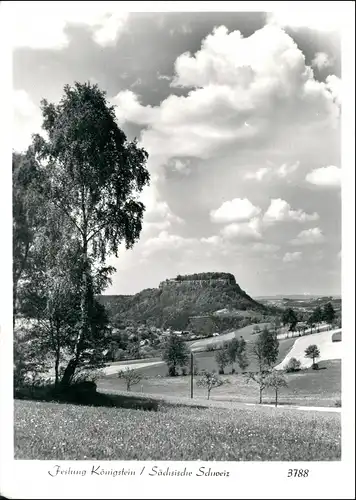 Königstein (Sächsische Schweiz) Festung Sommerwiese Foto Hering 1956