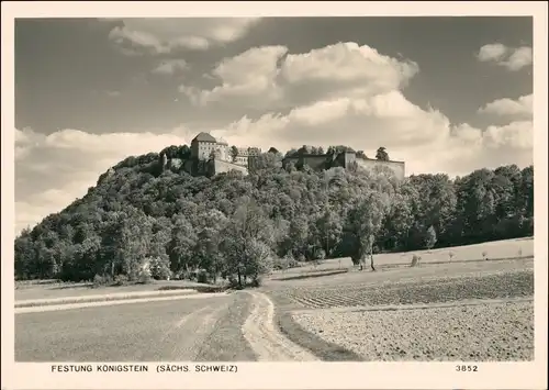 Königstein (Sächsische Schweiz) Feldweg Festung Foto Hering 1965