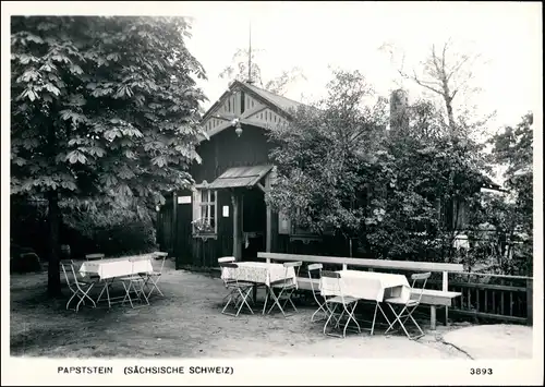 Gohrisch (Sächs. Schweiz) Restauration Papststein Foto Hering 1971