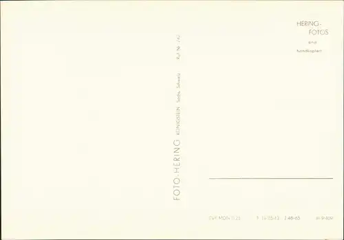 Hohnstein (Sächs. Schweiz) Polenztal Märzenbecher Bockmühle 1965