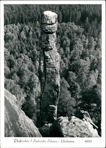 Pfaffendorf-Königstein (Sächsische Schweiz) Barbarine Foto Hering 1981