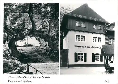 Ansichtskarte Kirnitzschtal-Sebnitz 2 Bild Kuhstall Gasthaus Foto Hering 1965