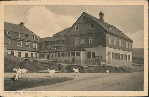 Ansichtskarte Oberwiesenthal Ziegen vor Fremdenhof Neues Haus 1919