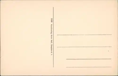 Hohnstein (Sächs. Schweiz) Gesamtansicht der Jugendburg, Burg, Schloss 1910