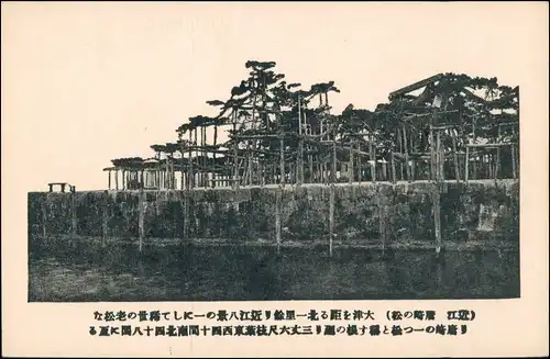 Postcard Japan Pagoden (allgemein) in Asien, vermutlich Japan 1910
