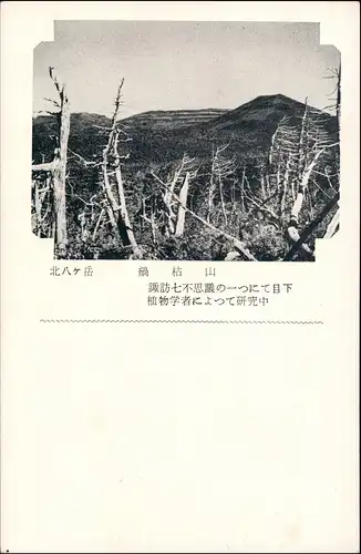 Postcard Japan Asien Zerstörter Wald, Landschaft, vermutlich JAPAN 1920