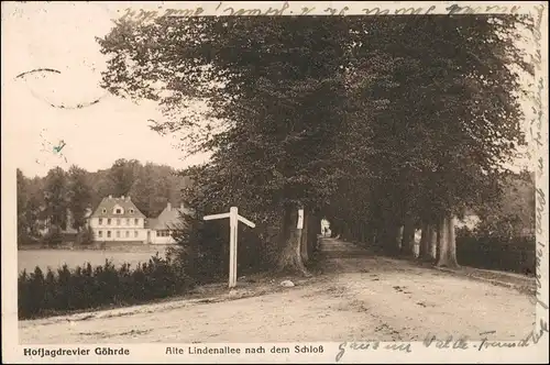 Ansichtskarte Göhrde Lindenallee Schloß Landpoststempel ü Dahlen 1930
