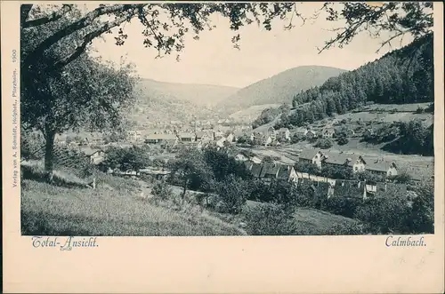 Ansichtskarte Calmbach-Bad Wildbad Stadtpartie - Fabrik 1900