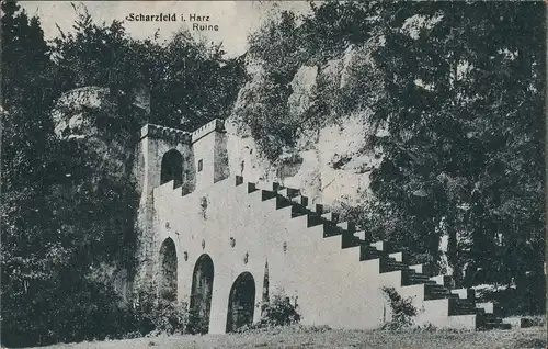 Ansichtskarte Scharzfeld-Herzberg (Harz) Ruine 1919