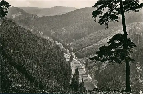Ansichtskarte Tambach-Dietharz Dietharzer Grund 1960