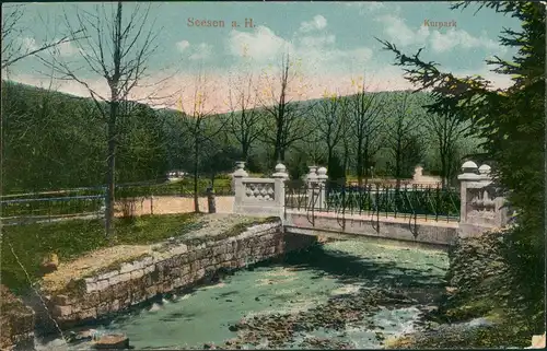 Ansichtskarte Seesen Kurpark - Brücke 1918