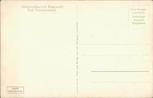Ansichtskarte St. Blasien Wegweiser Blasiwald Schnitzerei 1932