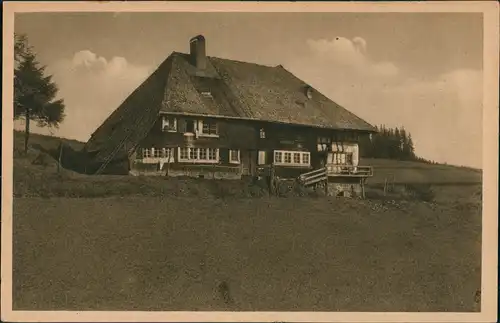 Ansichtskarte Schönwald im Schwarzwald Rainerhof 1924