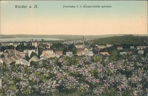 Werder (Havel) Panorama v.d. Bismarck-Höhe gesehen, Fabrik, Blumem-Meer 1905