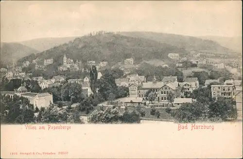 Ansichtskarte Bad Harzburg Villen am Papenberge, Panorama Gesamtansicht 1903