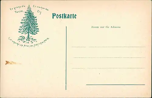 Ansichtskarte Bad Harzburg Villen am Papenberge, Panorama Gesamtansicht 1903