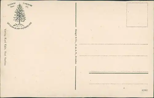 Ansichtskarte Bad Sachsa Talstraße Forstmeister Baer Platz 1913